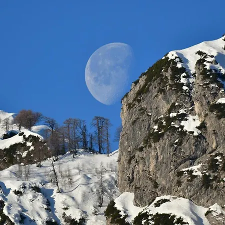 Mountain Charm Lejlighed