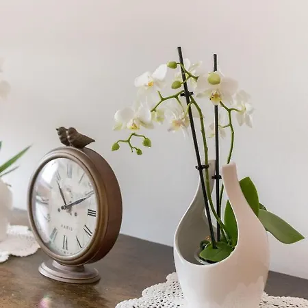 Mountain Charm * Kranjska Gora