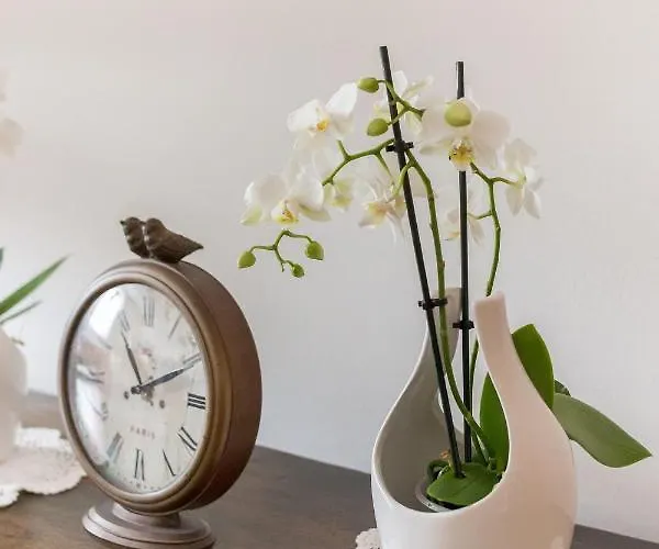 Mountain Charm * Kranjska Gora