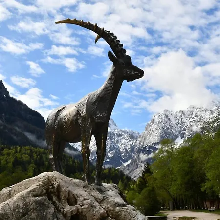 Mountain Charm 아파트