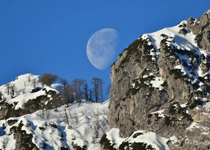 Mountain Charm Apartment