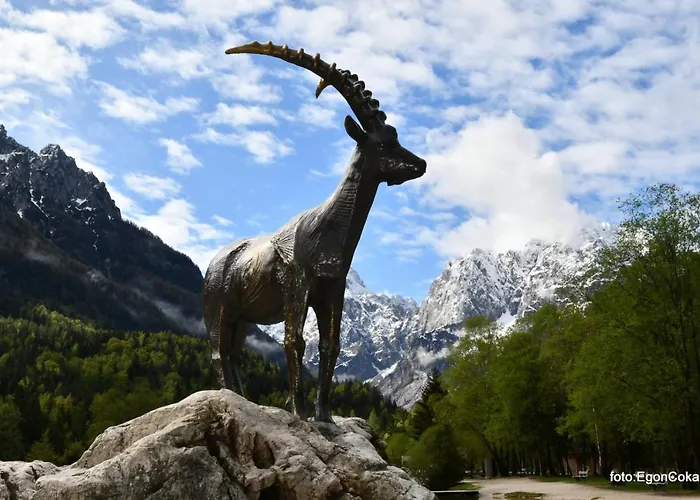 Mountain Charm Apartment